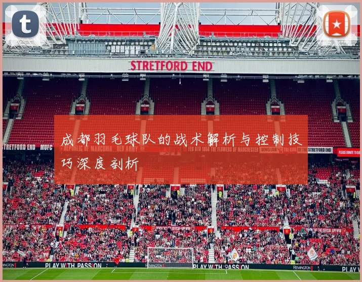 成都羽毛球队的战术解析与控制技巧深度剖析
