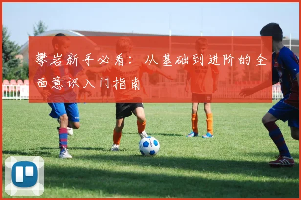 攀岩新手必看：从基础到进阶的全面意识入门指南